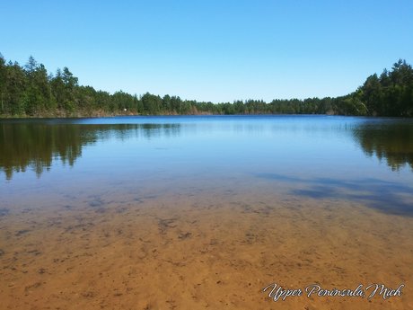 Diego Kortez actress img