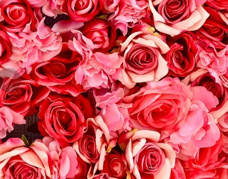 Bangin Blair perfect pornstar image