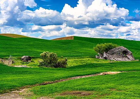 Bakamic Photography erotic star img