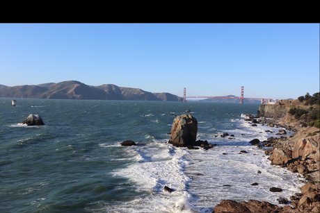 Matt King star nice gallery