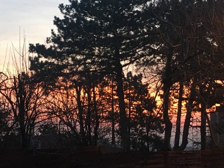 Matthiek nudes model photos