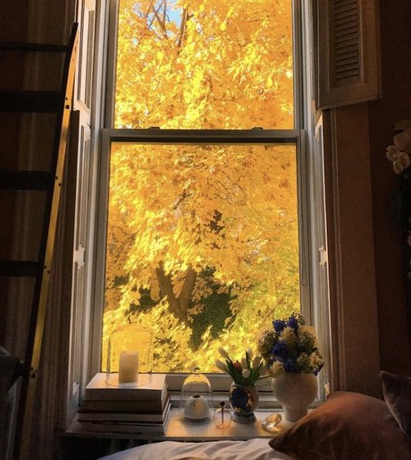 busty mom onlyfans free photo