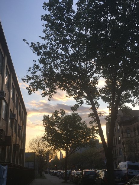 asian onlyfans free porn images