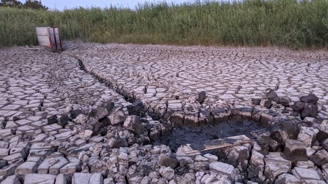 BannerQS model beautiful photos