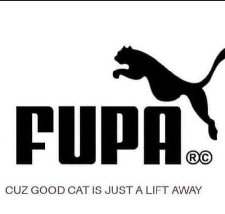 BlackLarry pretty star galleries