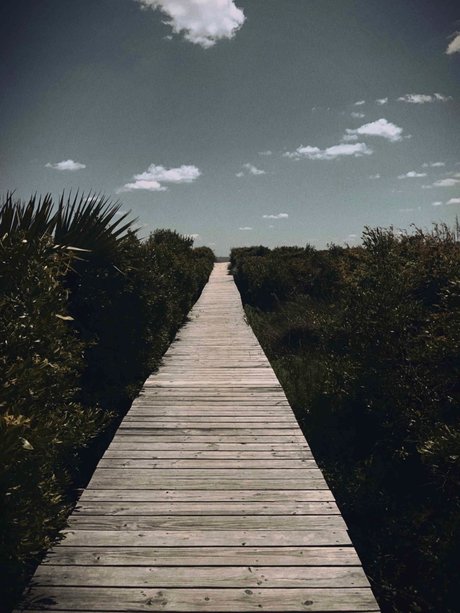 NC Med Student model nice photo