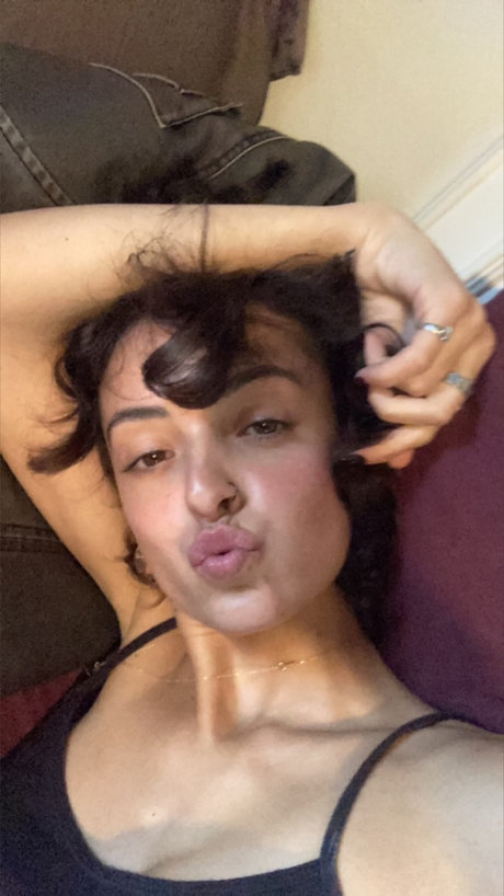 randa high quality star gallery