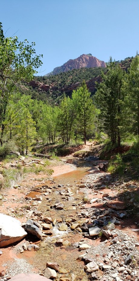 James Webb_ pornstar exclusive pictures