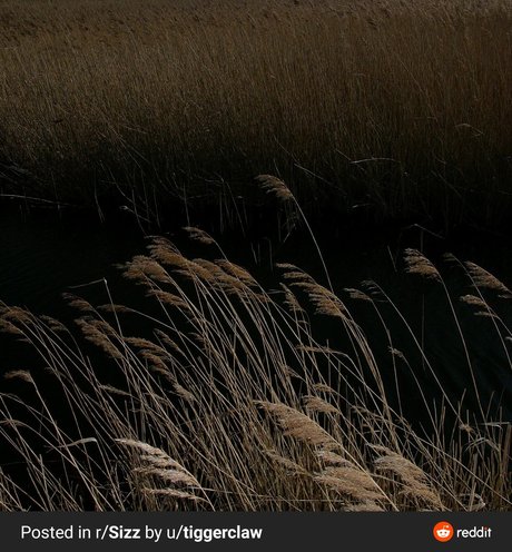 milf glasses onlyfans naked picture