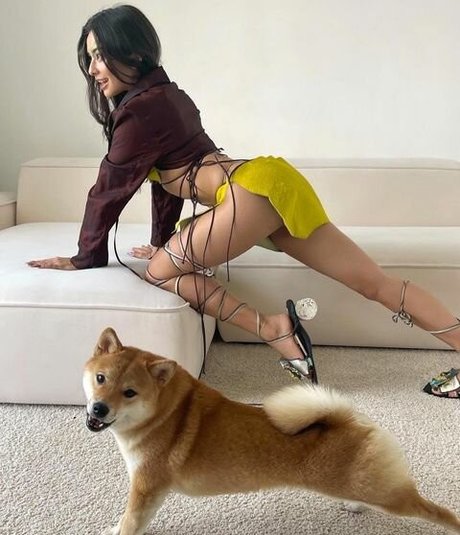 trans girl onlyfans free nude gallery