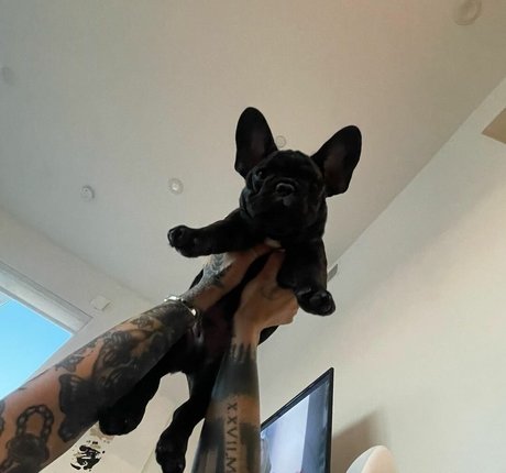 cowgirl creampie onlyfans free porn gallery