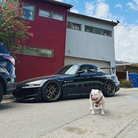 whore wife onlyfans nude archive