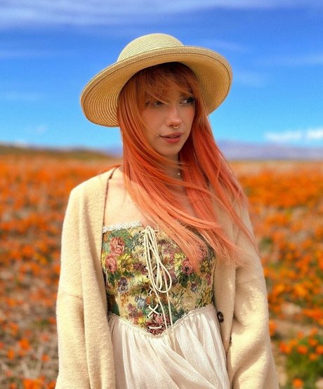 shelbygraces model hd archive