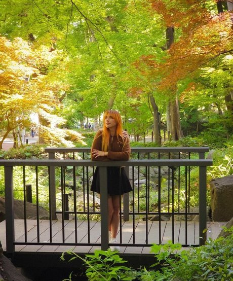 shelbygraces pretty star pictures