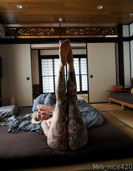 Mrs Nice art pornstar galleries