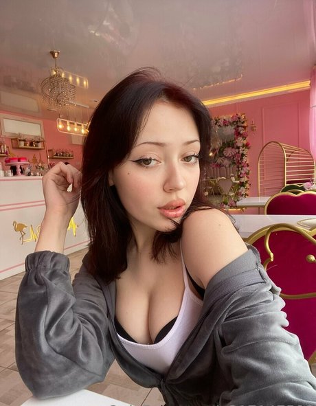 dmv onlyfans adult archive