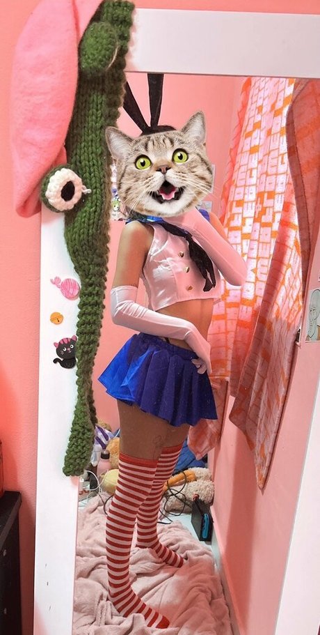 RingoRin top pornstar images