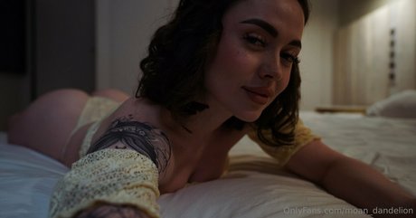 moan dandelion model top picture