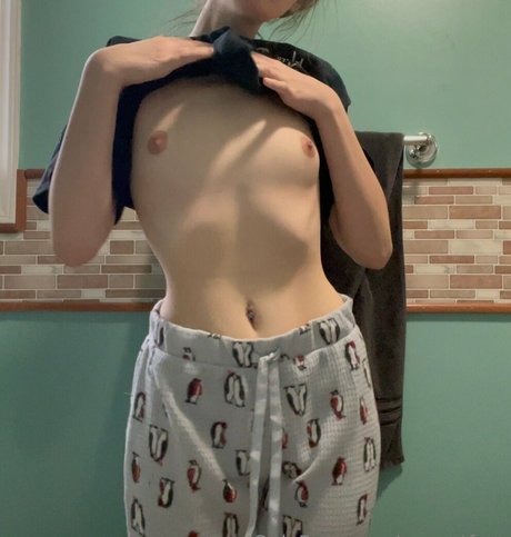 avanetfree perfect star galleries