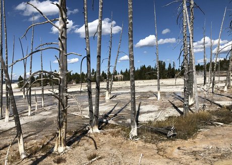 zendenjen69 model adult galleries