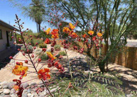 ssbbw granny onlyfans free nude photos