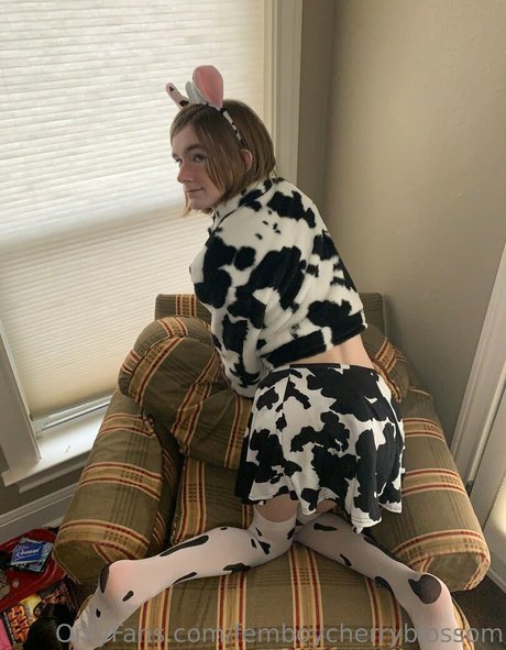 femboycherryblossom pretty model photo