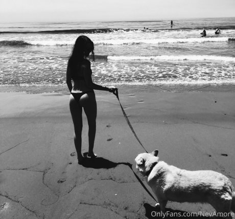 nevamore top star img