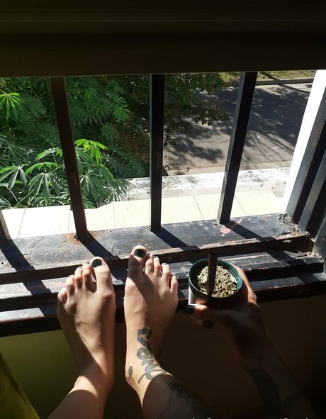 fasita star exclusive photo