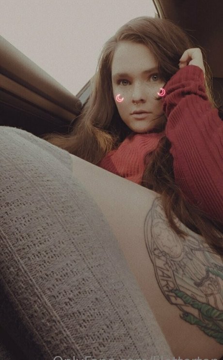 lilotterton star art img