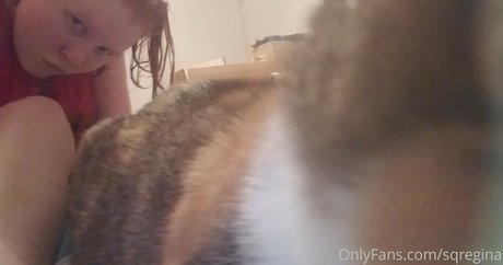 sqregina star beautiful gallery