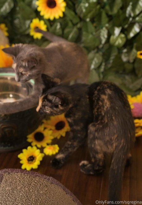 sqregina model beautiful pic