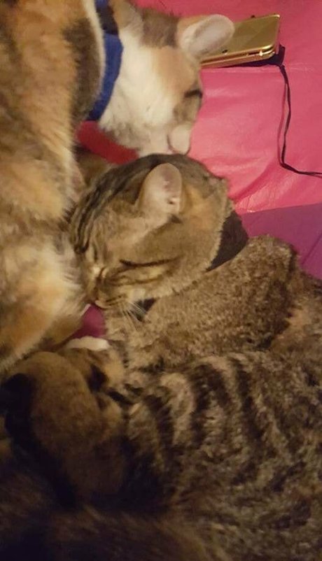 alt girl onlyfans free porn img