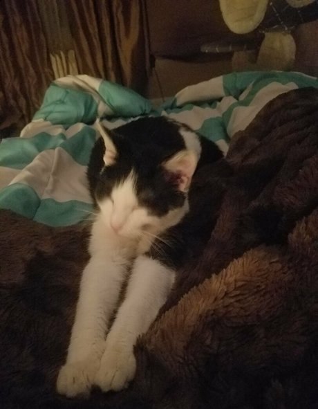 anal onlyfans nudes gallery