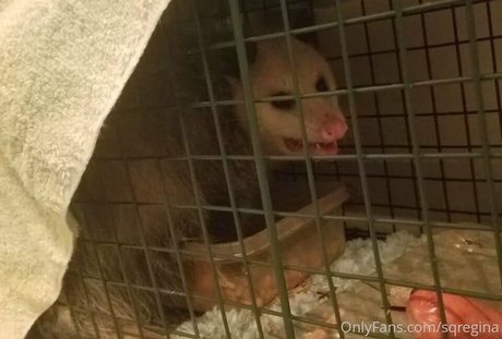 shemale cum in mouth onlyfans nude pictures