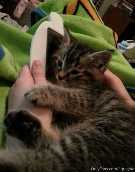 sqregina star nice pics