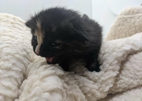 sqregina art actress archive