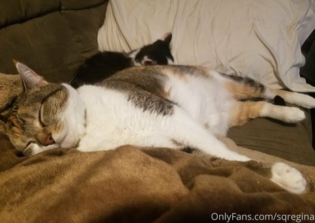 ebony sloppy onlyfans xxx pic