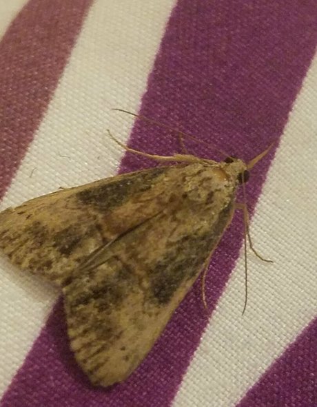 sqregina beautiful actress archive