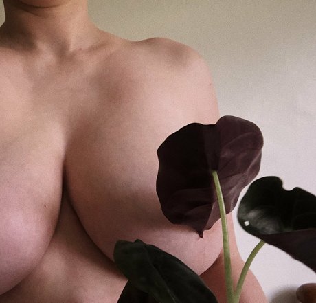 shemale handjob onlyfans best images