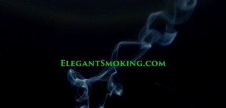 Babestation studio66 hd actress gallery