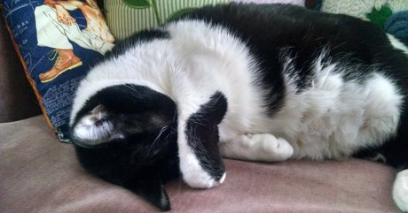 girlnumbersix model art archive