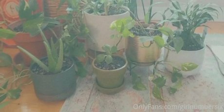 girlnumbersix top actress images