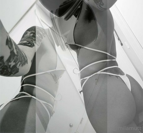 bimbodisco beautiful star images