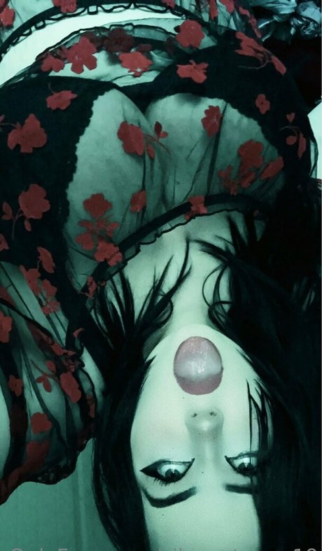 silver stormz19 perfect star image