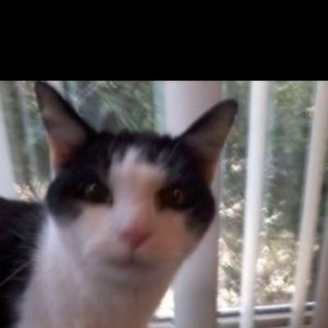 nude asian onlyfans sexy photos