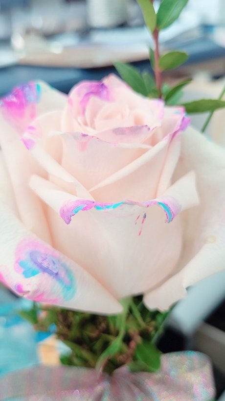 bigeddygurl star nice galleries