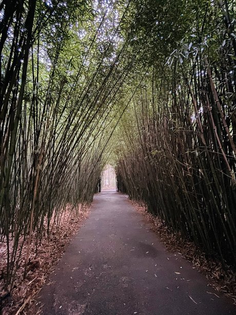 Miky 88 nice pornstar galleries