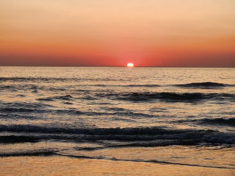 Mike Purley star pretty img