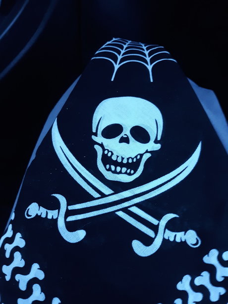 Mike Morell free model photo