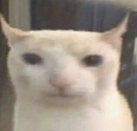 Midwestkid937 star exclusive images